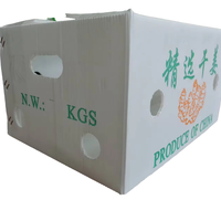 Caisse en plastique pliable écologique, réutilisable, pliable, pour le stockage, gain de place, pour les produits agricoles, les denrées sèches, le riz, les graines