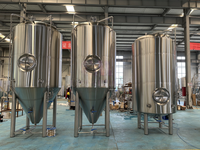 Fermenteur industriel de bière 5000L 50HL, cuve de brassage pour bière claire