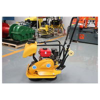Bon prix 500KG plaque de compacteur réversible essence plaque de compacteur vibrant
