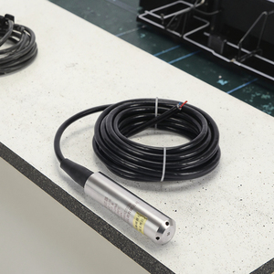 4-20mA Output Industrial Automation <strong>Level</strong> Transmitter 304 Stainless Steel IP68 Water Tank <strong>Level</strong> <strong>Sensor</strong> - Product Image 5