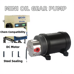 中国メーカーミニチュアオイルシールヘリカルギアポンプ2.5L/Minフロー30W DC24Vモーターマイクロ流体計量用量クリーンウォーター - Product Image 2