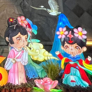 Lanterne géante chinoise personnalisée pour l'extérieur, imperméable, décoration populaire pour le Festival des Lanternes, spectacle de lanternes en soie avec lumières LED pour le parc - Product Image 3