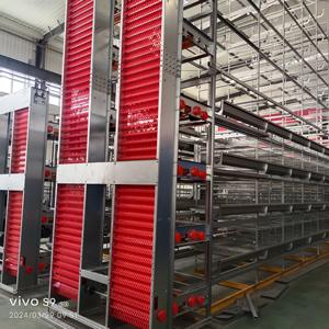 Équipement d'élevage de volailles Cage de ponte de <span class=keywords><strong>poulet</strong></span> entièrement automatique de type H - Product Image 2