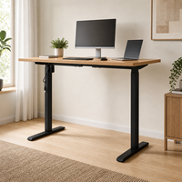 Cadre de bureau électrique à double moteur réglable en hauteur, style contemporain moderne en fer