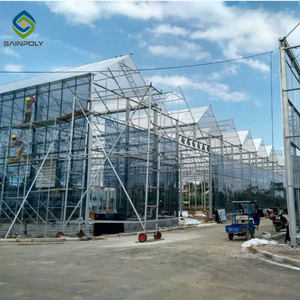 Nhà Kính Trồng Vertical Farming <span class=keywords><strong>Nft</strong></span> Hệ Thống Thủy Canh Multi-span Glass Đối Với Cà Chua Rau Diếp Phát Triển Lớn - Product Image 6