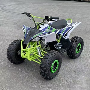 ZHUOXUAN STC019 Cuatrimoto Infantil de 110cc para Uso Agrícola, ATV para Niños, Todoterreno, Construcción de Plástico y Hierro - Product Image 4