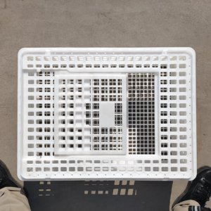 Điều kiện mới nhựa doanh thu hộp ngỗng vịt và gà Giao thông vận tải <span class=keywords><strong>Crate</strong></span> cho sống Gà Thịt lợn và gà Giao thông vận tải - Product Image 2