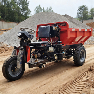 Động cơ diesel ba bánh tùy chỉnh đơn đặt hàng chào đón giá trực tiếp phổ biến trang trại vườn cơ giới xe ba bánh - Product Image 2