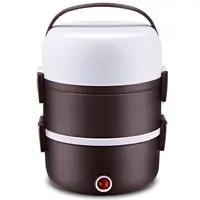 Draagbare Elektrische Verwarming Lunchbox Voedsel Opslag 3 Lagen Rijstkoker Rvs + Pp Warmer Container
