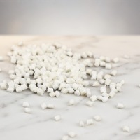 Granulés de plastique vierges PA6 GF10 en vrac pour usine, PA6 modifié renforcé de 10 % de fibres de verre pour le moulage par injection