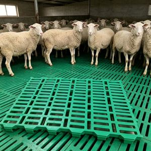 Équipement d'élevage agricole : Panneau de sol en plastique <span class=keywords><strong>à</strong></span> lattes pour moutons, chèvres, porcs, planche de drainage des excréments, <span class=keywords><strong>filet</strong></span> de drainage pour enclos animalier - Product Image 6