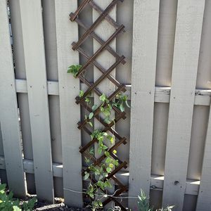 Lot de 2 <span class=keywords><strong>treillis</strong></span> de jardin extensibles en <span class=keywords><strong>bois</strong></span> <span class=keywords><strong>pour</strong></span> plantes grimpantes, écologiques, faciles à assembler, <span class=keywords><strong>pour</strong></span> mur, clôture de jardin et patio extérieur - Product Image 6