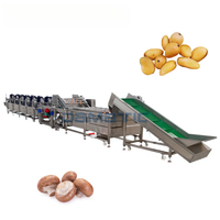 Industriële automatische SUS304 commerciële PLC-gestuurde continue luchtbel fruit- en groentewasmachine