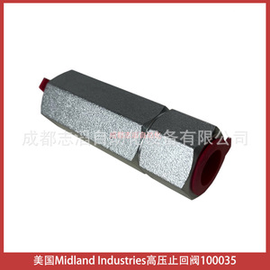 Válvula de Retención de Alta Presión Midland Industries 100035 para Medios Neumáticos y Gases - Product Image 4
