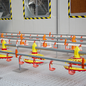 Thiết Bị Cho Ăn Gà Thịt Tự Động Khay Cho Ăn Gia Cầm Khay Thức Ăn Cho Gà Thịt Và Máy Làm Giống - Product Image 4