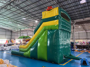 Commercial extérieur enfants adultes fête sautant château gonflable toboggan toboggan gonflable toboggan tropical toboggan gonflable - Product Image 4