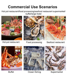 Máquina de Hielo en Escamas Comercial de 1 y 2 Toneladas con Control Automático, Compresor Bristol, <span class=keywords><strong>Motor</strong></span> y Bomba para Uso en Supermercados y Cocinas - Product Image 2
