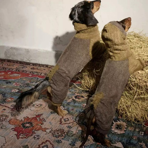Lujoso suéter de poliéster para mascotas, suéter de diseñador hecho a medida, cómodo suéter <span class=keywords><strong>con</strong></span> capucha de perro a la moda para festivales de Navidad - Product Image 2