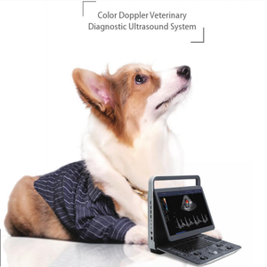 SonoScape E2V – Échographe Doppler Couleur Portable pour Usage Vétérinaire – Système d'Échographie Diagnostique pour Cliniques Vétérinaires – Prix - Product Image 3