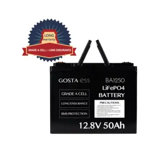 AA51006 GOSTABA1250競争力のある価格長寿命耐久性18650テスラサプライヤーではない電力急速充電バッテリー