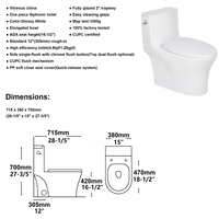 WC monobloc OVS CUPC Amérique du Nord, à chasse siphonique, 1000g, de luxe, moderne, sur pied, à double chasse, WC chinois