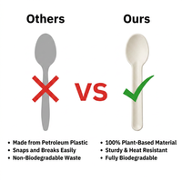 Cuillère à glace en bagasse personnalisée, compostable, couleur naturelle, non blanchie, biodégradable, jetable, couverts écologiques