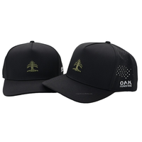 Casquettes de golf respirantes imperméables à séchage rapide de haute qualité avec logo brodé 3D à 5 panneaux, casquettes de sport à cordon, casquettes de baseball