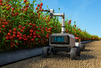 Sensor LiDAR Interaktif Ajaib POE M10 Lengan Robot PoE LiDAR