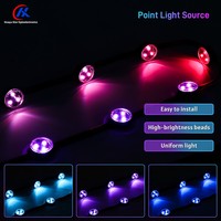 Source de lumière ponctuelle LED programmable 12V 20mm RGB Pixel Node pour l'éclairage architectural et la décoration des installations de divertissement