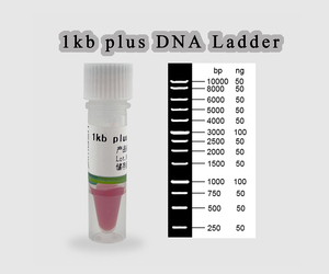 1 <span class=keywords><strong>kb</strong></span> plus marqueur d'échelle ADN - Product Image 1