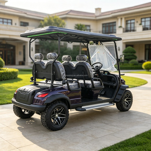 Voiturette <span class=keywords><strong>de</strong></span> transport électrique <span class=keywords><strong>de</strong></span> luxe pour hôtel, 4 places avec auvent, moteur silencieux, zéro émission, OEM - Product Image 3