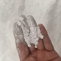 Carbonate de Calcium Léger de Qualité Alimentaire en Poudre 600-1250 Mesh Blanc/Gris Clair Additif Alimentaire pour Volaille Améliore la Qualité des Coquilles d'Œufs