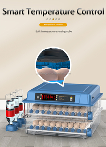 Máy Ấp Trứng Để Ấp 100 Trứng Máy Ấp Trứng Gia Cầm, Máy Ấp Trứng Có Kiểm Soát Nhiệt Độ Độ Ẩm, <span class=keywords><strong>F</strong></span> - Product Image 3