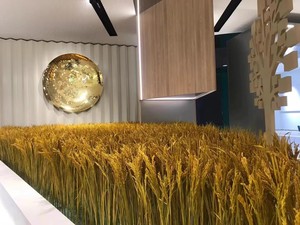 Tai gạo tự nhiên, hoa khô, gạo, tai lúa mì, lúa miến, trang trại vui vẻ, trang trí mẫu giáo, Mặt dây chuyền sân - Product Image 2