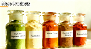 Succo di sedano naturale in polvere, estratto di sedano, per uso alimentare - Product Image 6