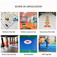 Tapis de combat populaire à bas prix, tapis de judo flexible en rouleau, tapis de lutte MMA, tapis de cheerleading à vendre