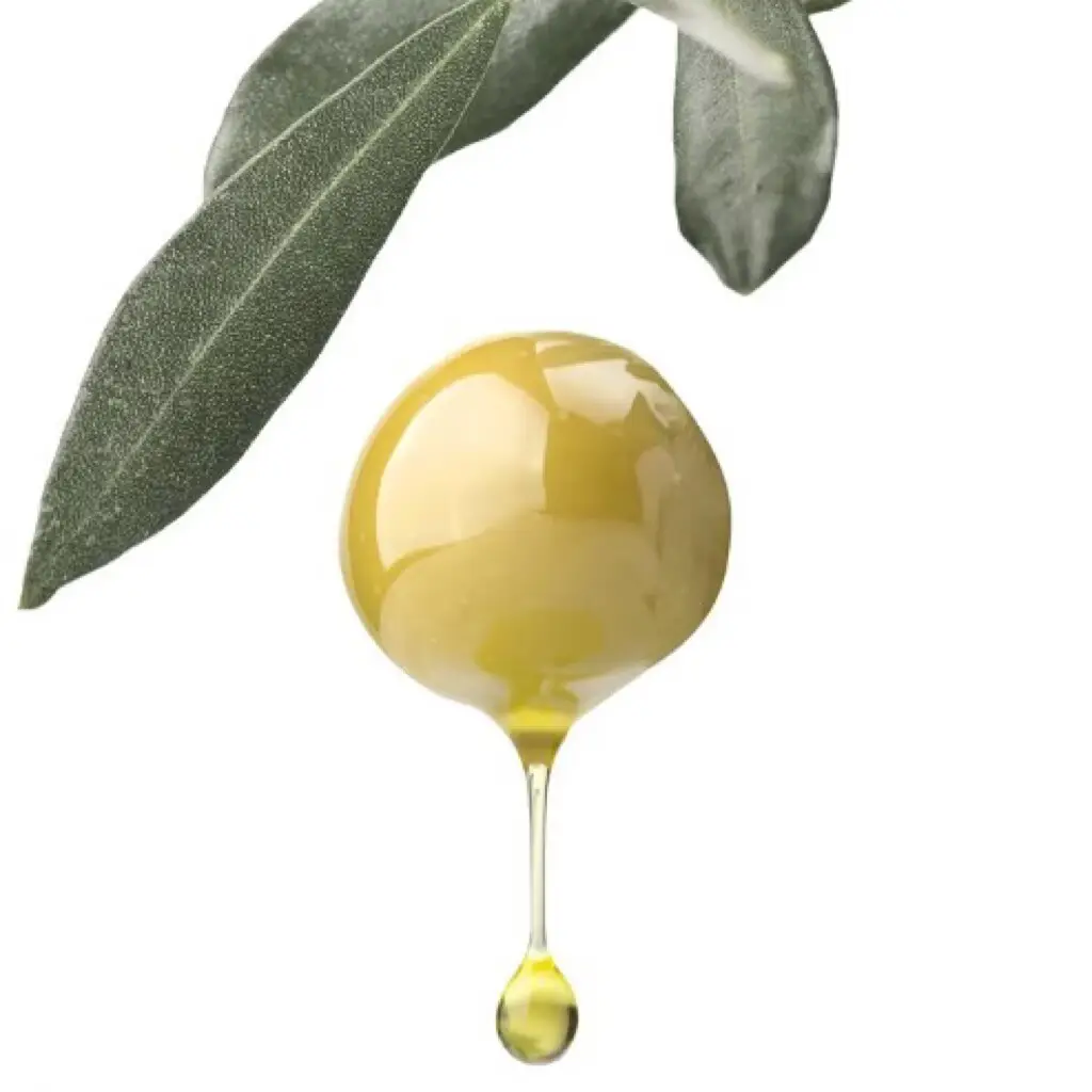 Pour renforcer l'immunité et promouvoir la santé naturelle extra virgin olive il