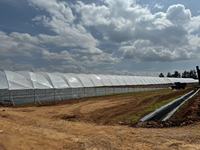 Serre agricole multi-travées en film PE ZHUOTAI, système complet de culture hydroponique pour légumes-feuilles, Chine