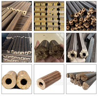 Machine à extruder le charbon de bois, presse à charbon de bois pour sciure de bois, bambou, coquilles d'arachides, machine à fabriquer des briquettes de charbon de biomasse à vendre