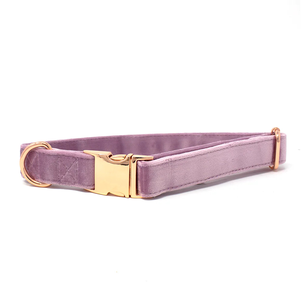 Collar