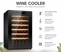 Réfrigérateurs à vin autonomes avec porte en verre de haute qualité, système de stabilisation de la température intelligent, armoire réfrigérée