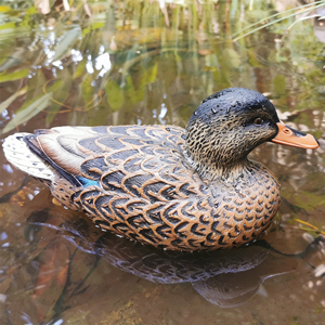 Señuelo de Pato Mallard Verde de EVA al por Mayor - Señuelo de Plástico Flotante Realista para Caza al Aire Libre y Decoración de Jardín - Product Image 3