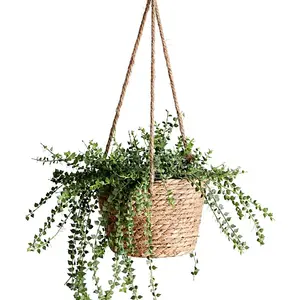 Ensemble de 4 paniers à fleurs suspendus en corde de jute pour plantes Pot de fleurs tissé à la main avec doublure en plastique imperméable pour l'intérieur