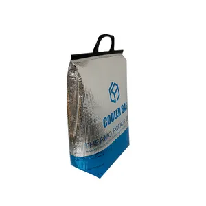 Personalizzato professionale caldo/freddo impermeabile scudo termico pannello scatola per la spedizione di 72 ore in schiuma di alluminio sacchetti di raffreddamento