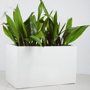 Pot <span class=keywords><strong>de</strong></span> fleur rectangulaire <span class=keywords><strong>en</strong></span> <span class=keywords><strong>fibre</strong></span> <span class=keywords><strong>de</strong></span> <span class=keywords><strong>verre</strong></span>, grand Pot <span class=keywords><strong>de</strong></span> ciment personnalisé, boîte <span class=keywords><strong>de</strong></span> plantation - Product Image 5