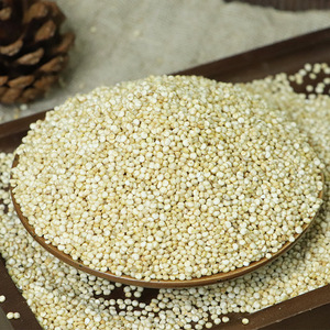 Quinoa Blanca Seca Premium a Granel, Sin Gluten, Grado Exportación, Pre-limpiada, Baja Humedad 9%, Jilin, para la Industria Alimentaria - Product Image 1