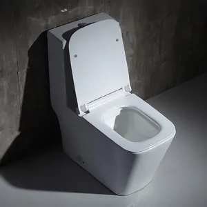 Yida nóng bán Trắng nhà vệ sinh bát S-trap/P-trap gốm siphonic nước Closet WC tầng gắn vòng một mảnh nhà vệ sinh