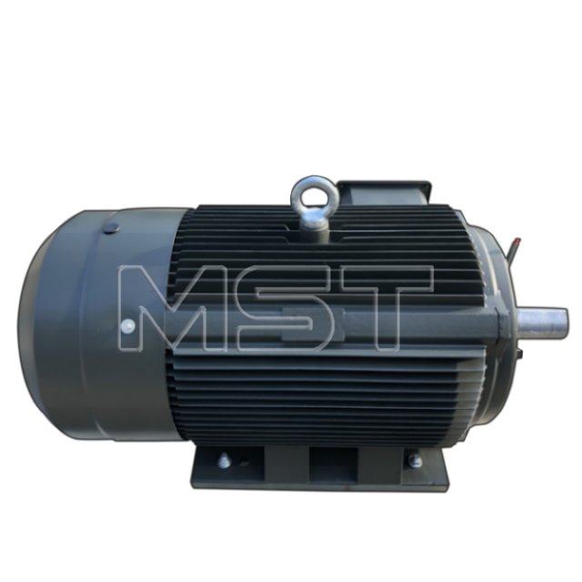 Powerful 15kw Electric Motor Asynchronous AC Motor Three Phase Motor for Heavy Duty