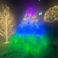 Guirlandes lumineuses colorées 36V pour centres commerciaux, mariages, maisons neuves, décoration RGB à dégradé de couleurs, feux d'artifice, sapins de Noël