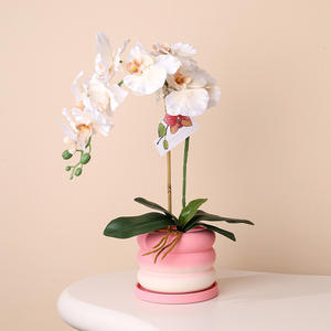 <span class=keywords><strong>Pot</strong></span> de fleurs en céramique rose à changement progressif de style nordique moderne, émaillé, écologique, respirant, 1-3L, pour orchidée Phalaenopsis, pour la maison - Product Image 4